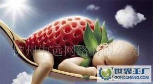 網(wǎng)站設計,網(wǎng)站托管,網(wǎng)站裝修,維護推廣服務,贈送域名_二手設備轉(zhuǎn)讓_世界工廠網(wǎng)中國產(chǎn)品信息庫